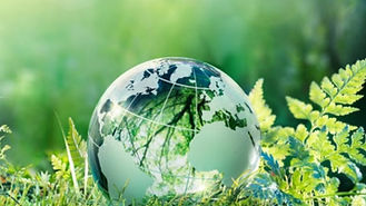green3.jpg