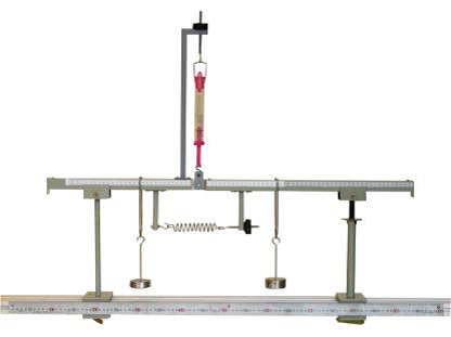 Shear Force