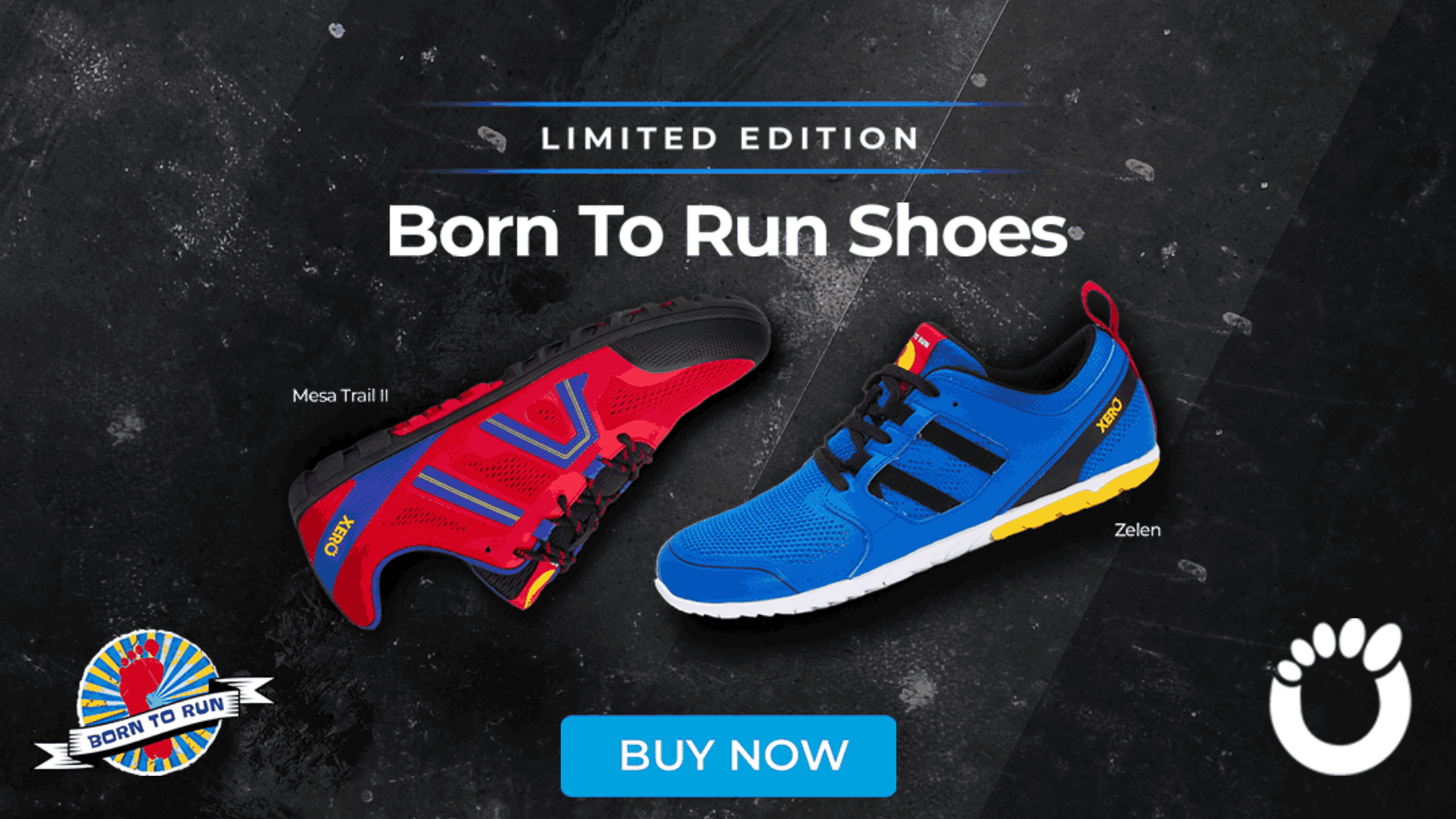 Born To Run Xero Shoes