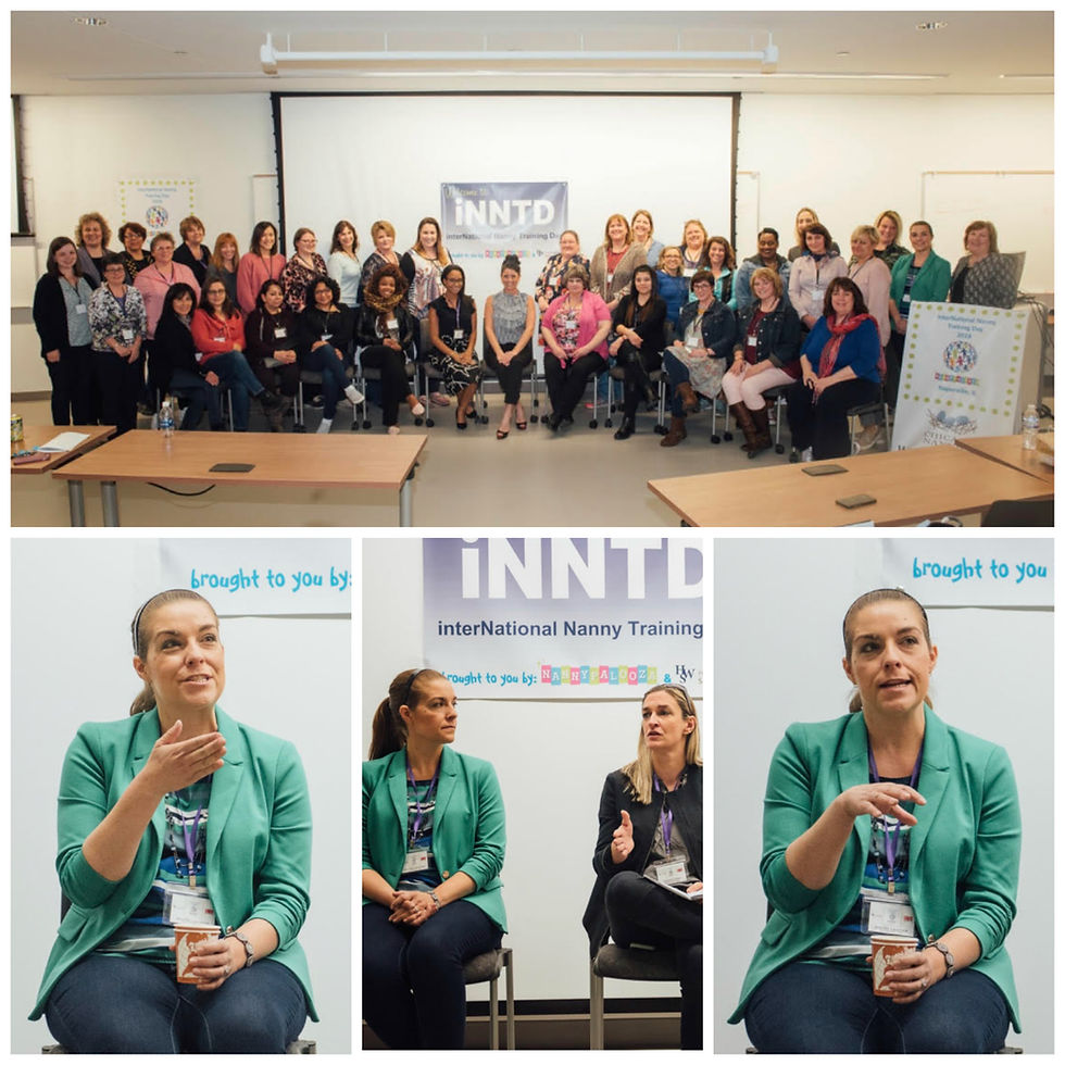 International Nanny Training Day Chicago 2018 Collage of Attendees