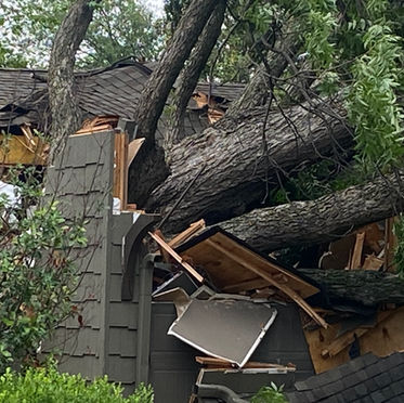 Storm Damage from a Tornado. A tree is crushing the roof of a house. 