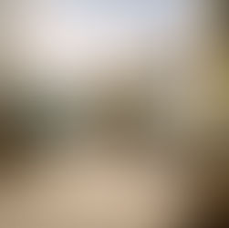 A refined estate study featuring a desk with books, a brass telescope, and a glass prism paperweight, symbolizing perceptual leadership, governance, and stewardship in private estate management.