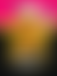 Budějcká gastro scéna spojuje síly: Představujeme březnové Casa Bouditto 🤝