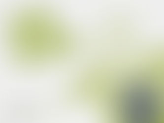 Week of the Referee – Danke an unsere Schiedsrichter:innen!