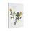 Thumbnail: Gallery Canvas - 12160417