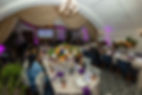 IMG_0230.jpeg