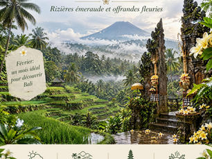 Bali en février : Émeraude des rizières sous l'ondée, spiritualité secrète et douceur tropicale