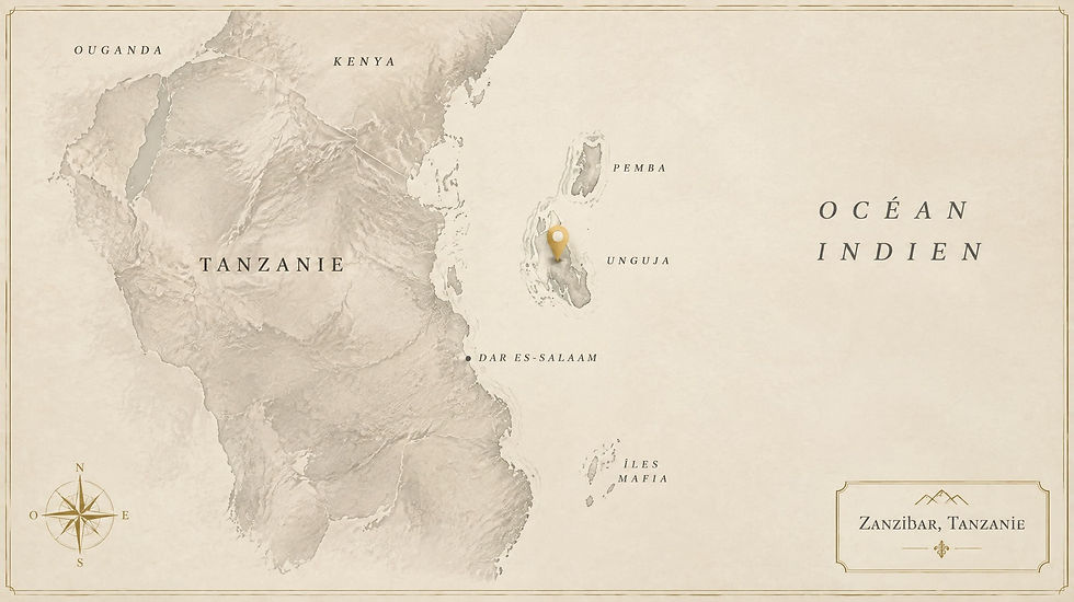 Carte géographique épurée sur papier d'art ivoire localisant l'archipel de Zanzibar au large des côtes de Tanzanie dans l'océan Indien avec une épingle dorée.