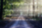 SEP 2025