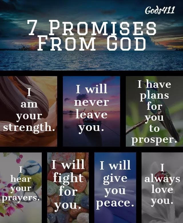 Graceful Perseverance God's 7 Promises01/19