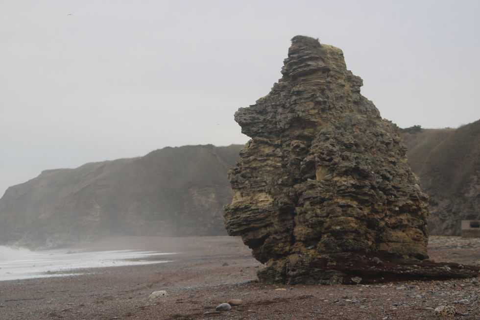 Natural Seaham