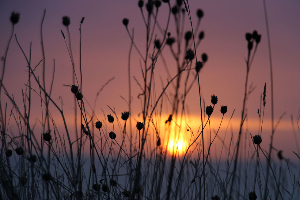 28th jan 22 blast 062