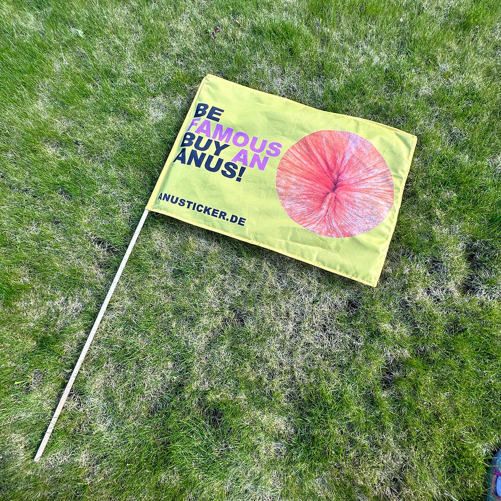 Thumbnail: Festival Package | 300x100cm banner + 2x 70x50cm flag + 500 festival stickers