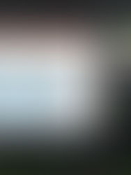 вебінарі керівників