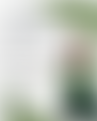 Магістратура 2026