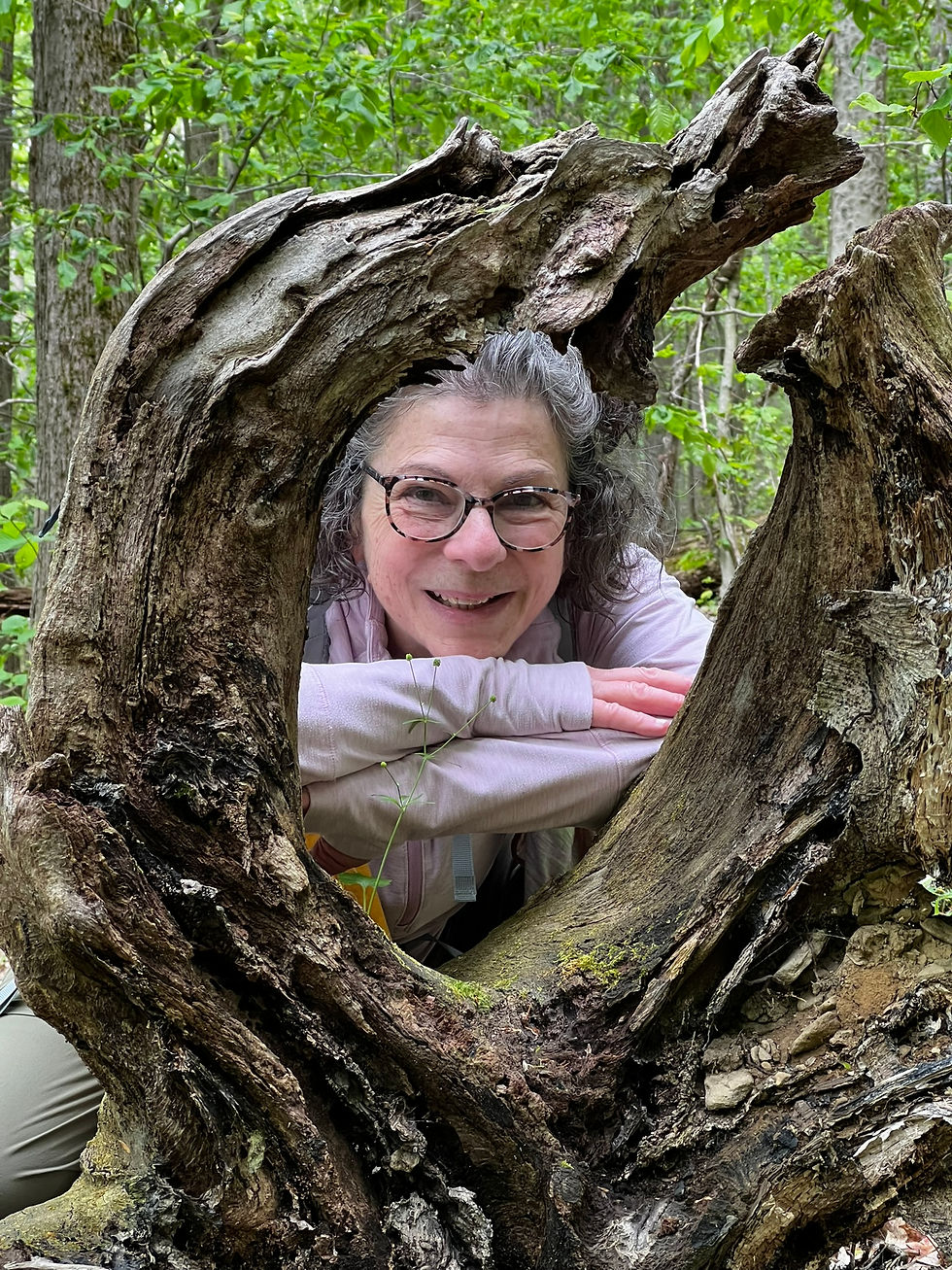 Forest and Flow