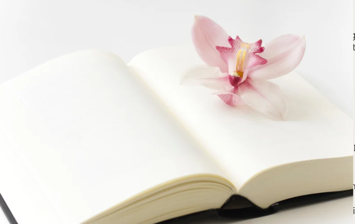 One Thing at a Time: Western Poetry & Zen Contemplation