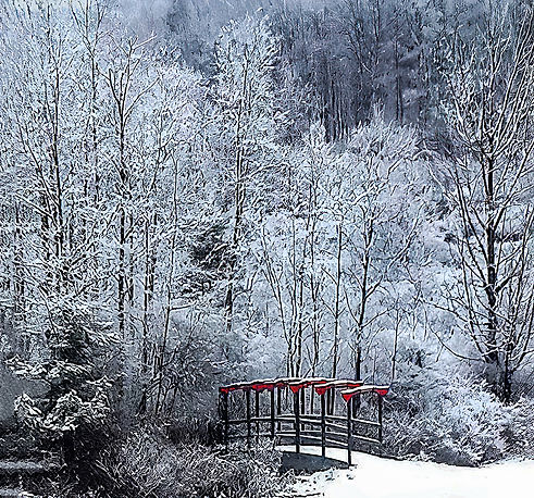 Frosty bridge (restored).jpg