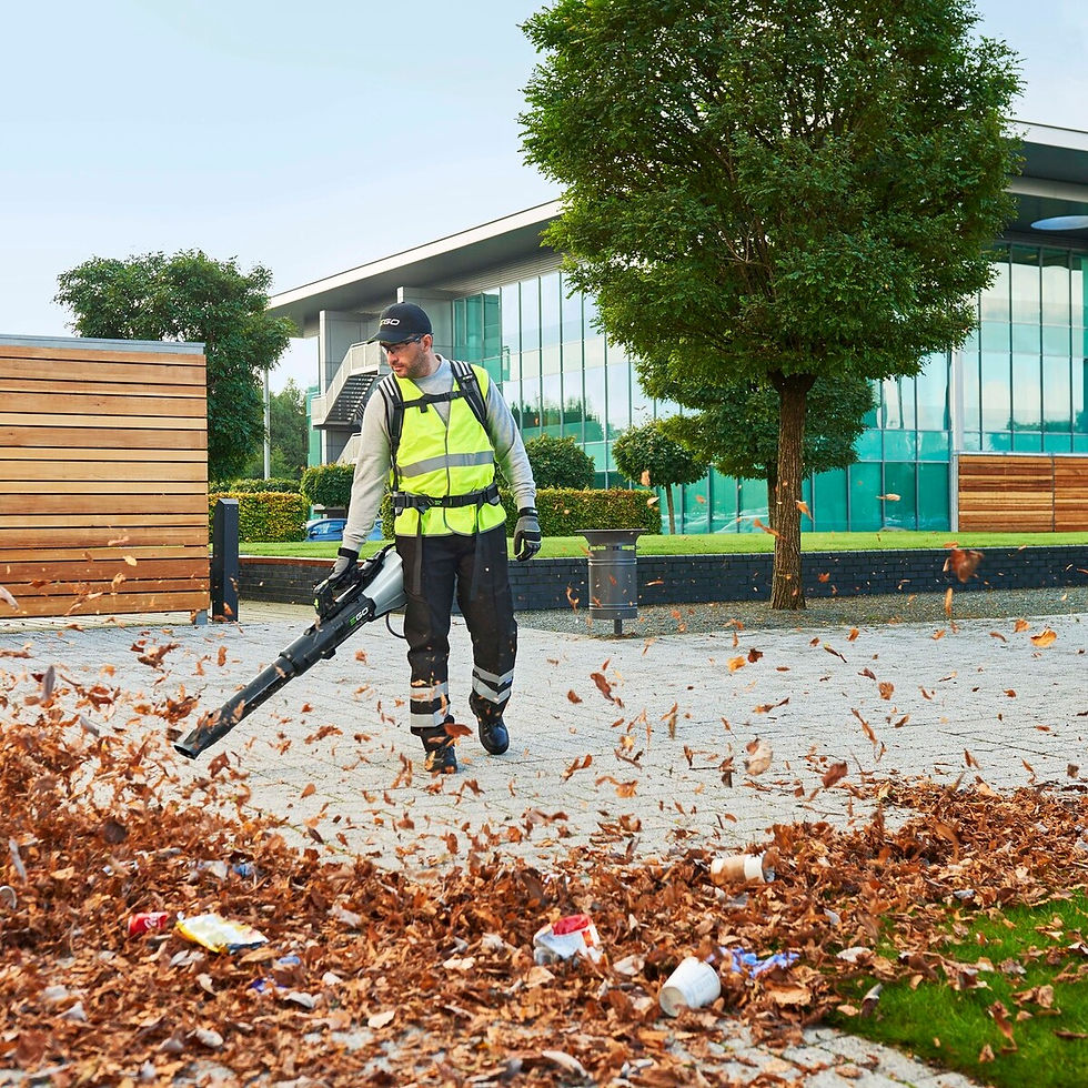 Miniaturbild: EGO Power+ Professional-X Luftbläser LBX6000