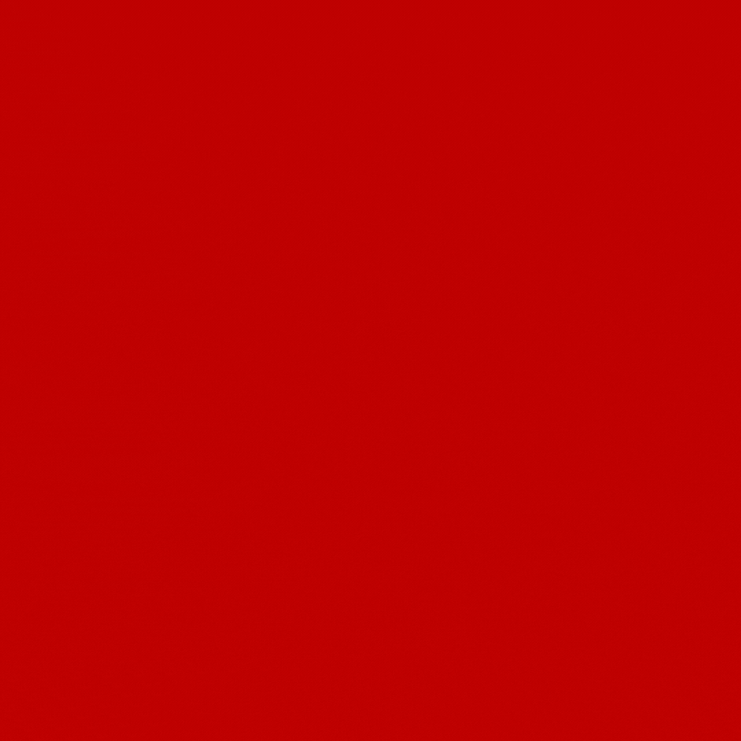 pais 3.gif