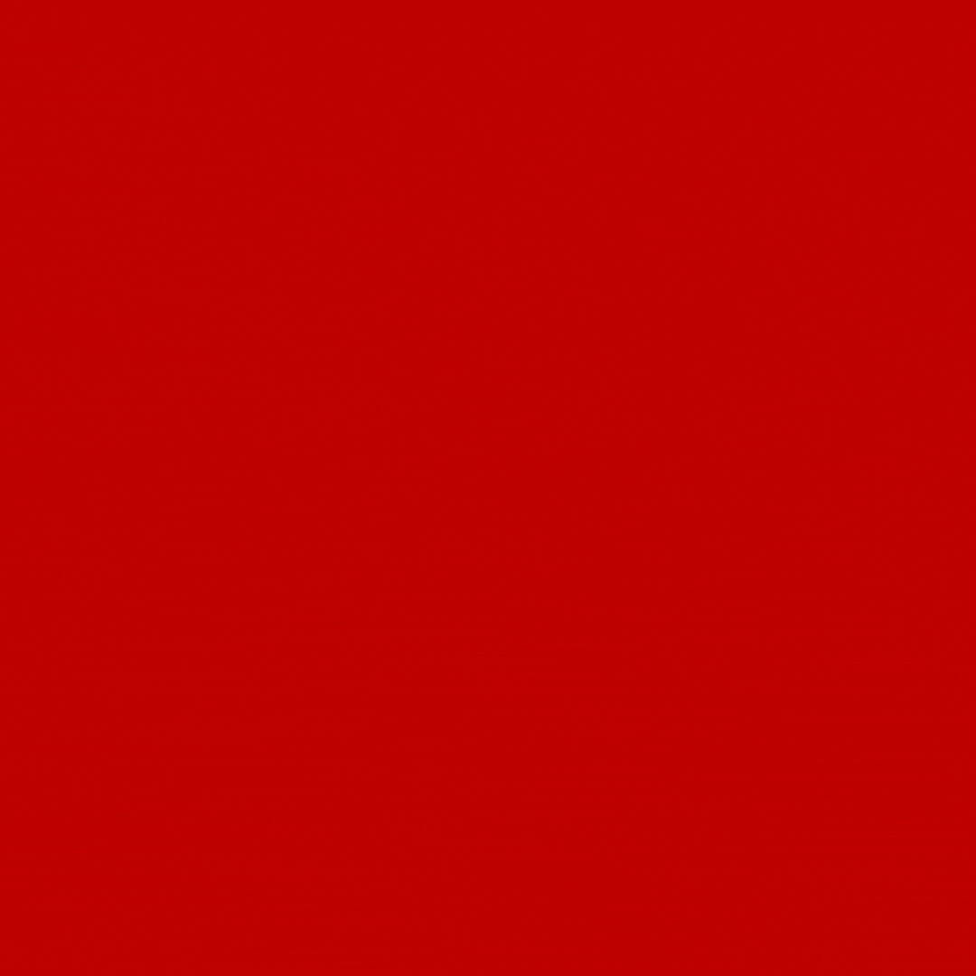 WS2.gif