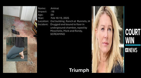 Triumph.jpg