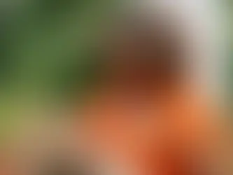 Mangools KWFinder Test