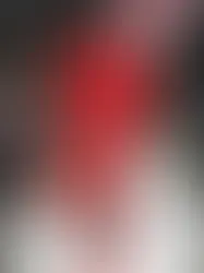 LVMH and HFR Fashion Show