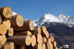 Tone wood