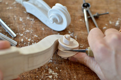 Violinschnecke