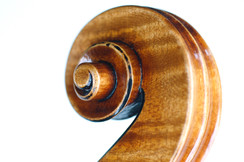 Violin scroll