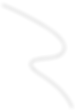 Animella About black lines-14.png