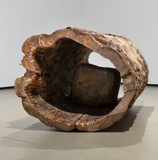 1.Emerging Sanctuary 드러나는 안식처_지름70×160cm 소나무 2025 (2).JPG