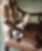 Animal Print Chair