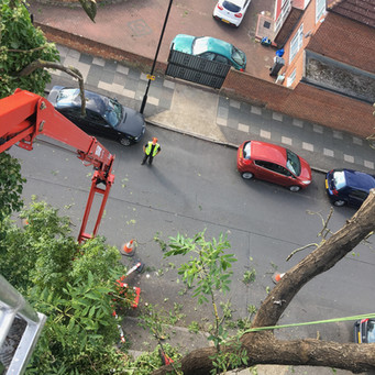 Bennetts Tree Care 025.jpeg