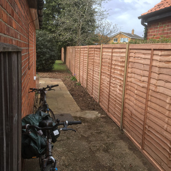 Bennetts Tree Care 012.jpeg