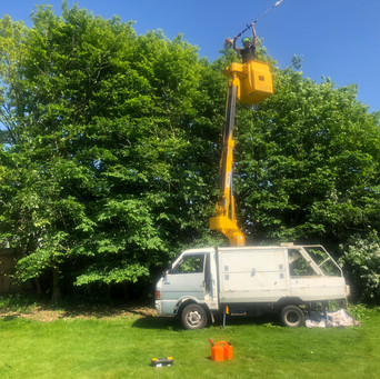 Bennetts Tree Care 022.jpeg