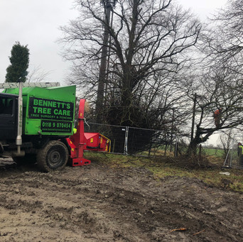 Bennetts Tree Care 019.jpeg