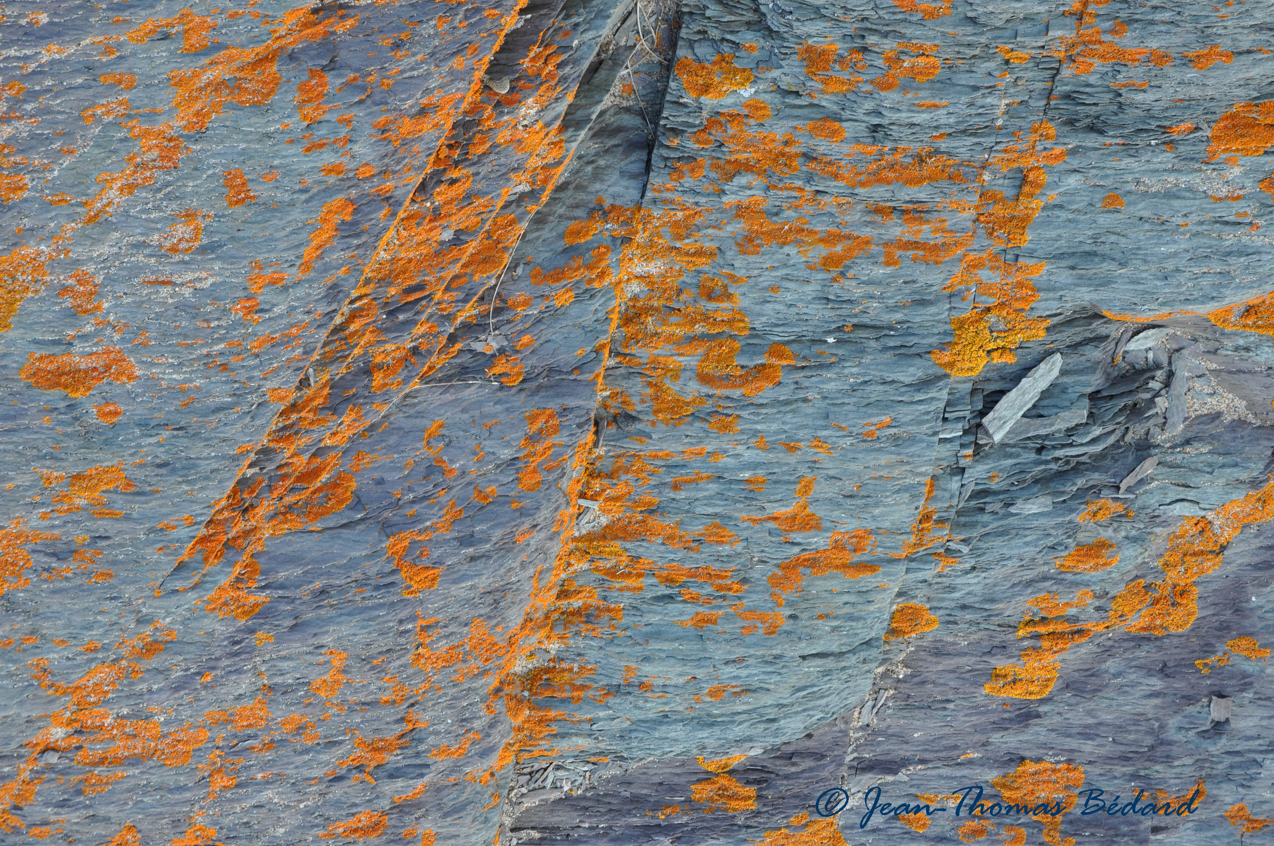 L'oeil du vent - L'Île Verte, 2014