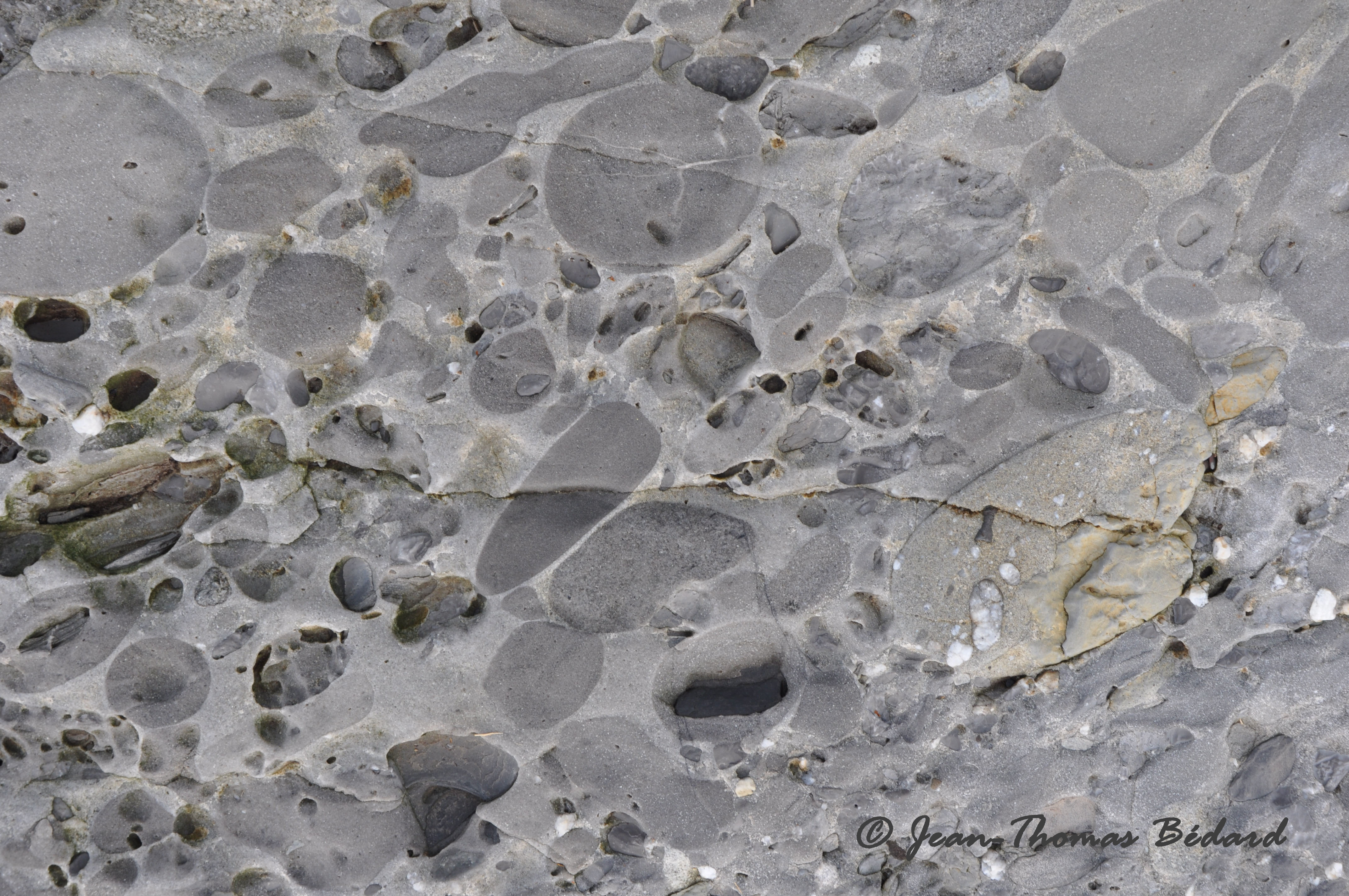 Pierres de lune - L'Île Verte 2014