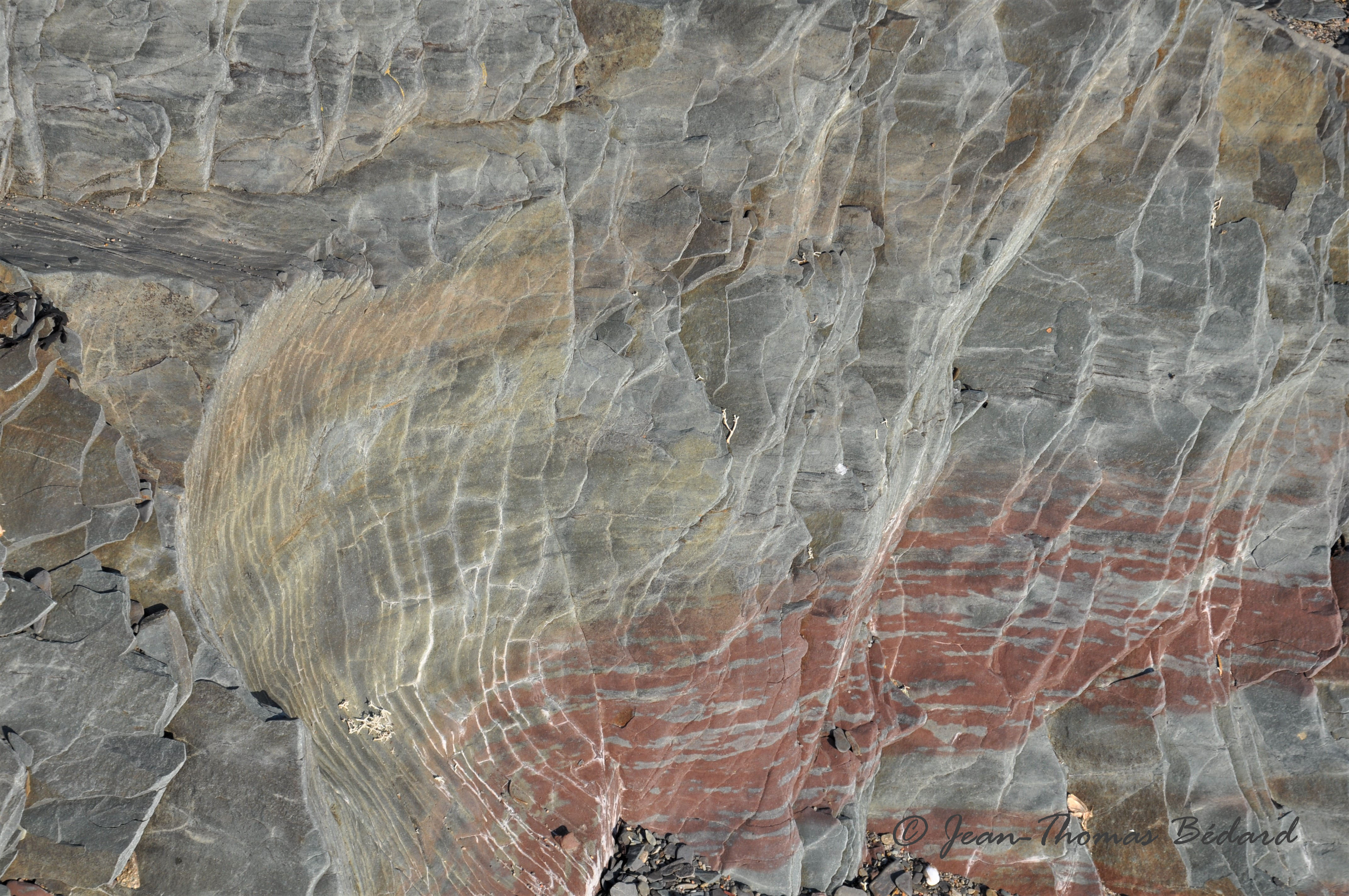 Ondes_minérales_-_L'Île_Verte_2014