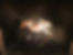 IMG_6423.jpeg