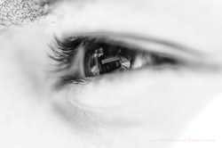 I mille volti di Boscoreale