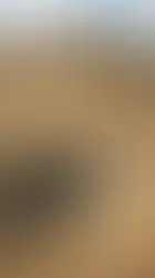 The Mysterious Walking Stones of The Death Valley