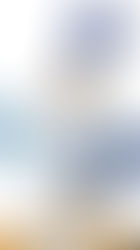 Meep Meep ! How fast is The Road Runner?