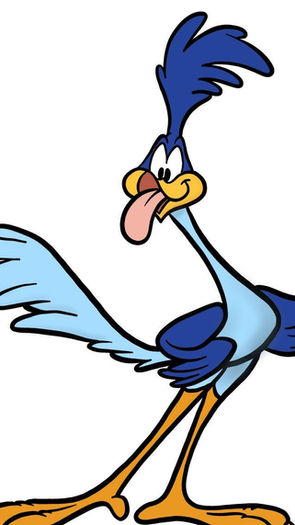 Meep Meep ! How fast is The Road Runner?