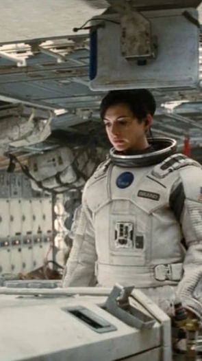 Hibernation: The Long Nap of Animal World