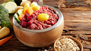 野菜の皮も、魚の骨も丸ごと食べる「ホールフード」が、ワンちゃんの体を整える理由