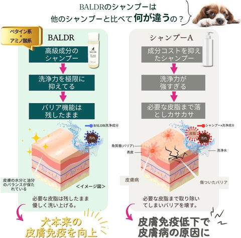 BALDR For DOGS SHAMPOO 犬用シャンプー