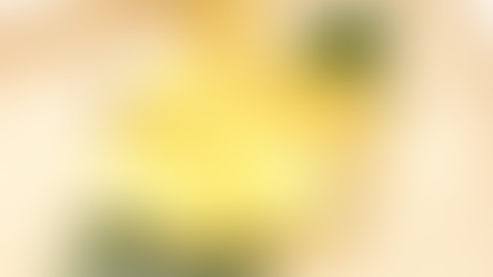 京鴨雛ジャーキー ¥799 2羽